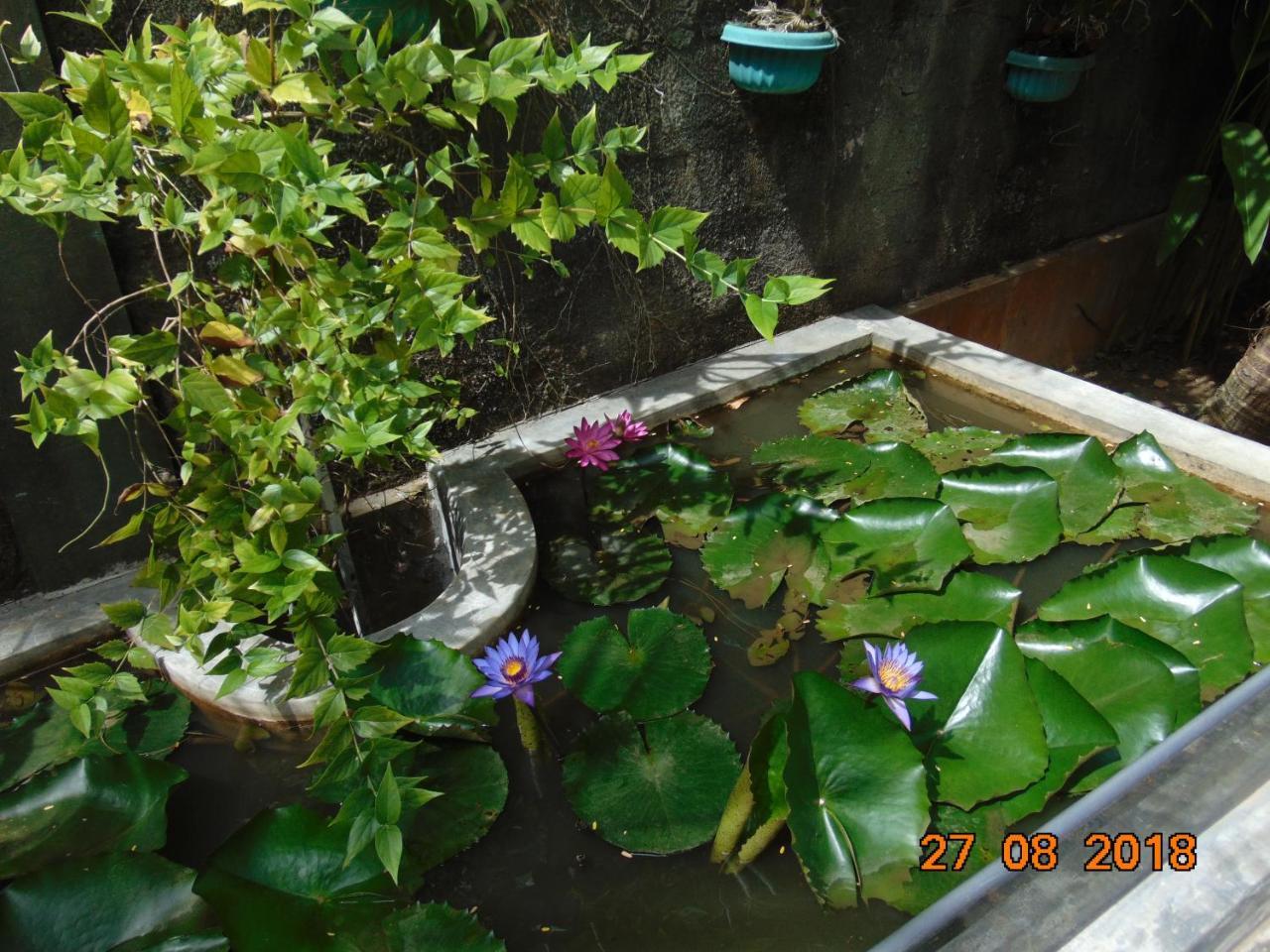 Sri Lankan Villa Elagawagoda 外观 照片