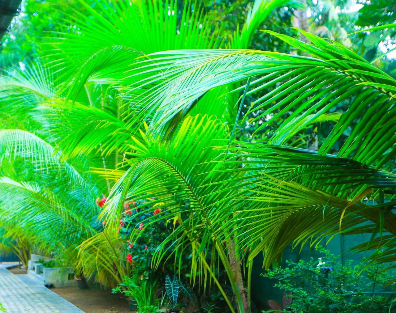 Sri Lankan Villa Elagawagoda 外观 照片